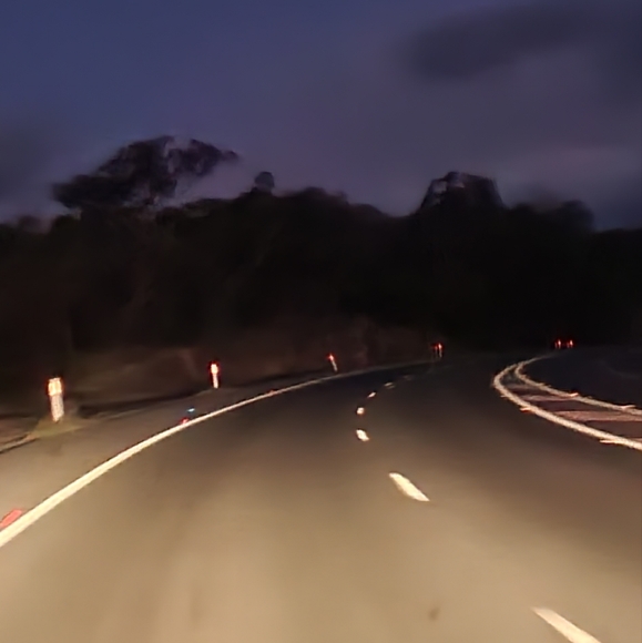 Meet your Posher, Natasha - Picture 8 of 8